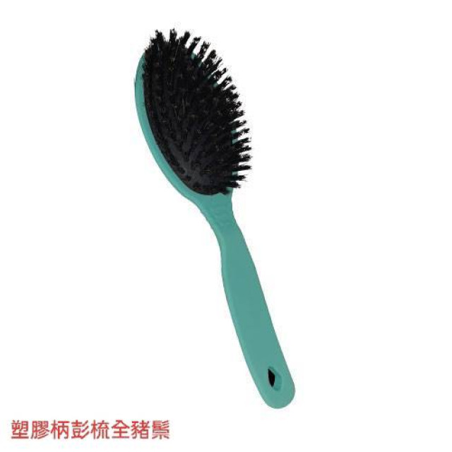 塑膠柄全豬鬃彭梳