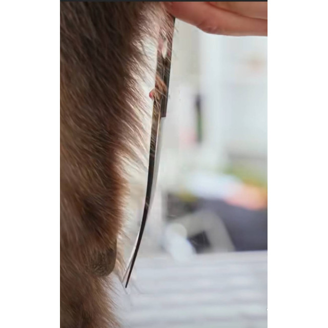 奇美440C  7"彎剪